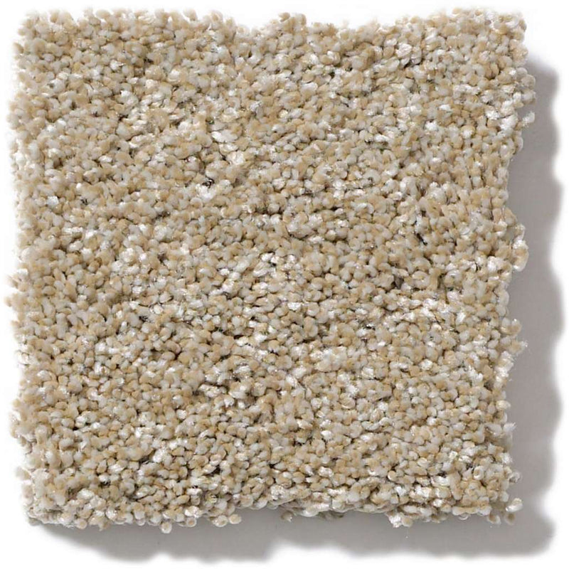 OF COURSE WE CAN II 12' 100% Pet Polyester Carpet 12 ft. x Custom Length R2X® Built-in Stain & Soil Protection