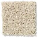 DYERSBURG CLASSIC 12' 100% Pet Polyester Carpet 12 ft. x Custom Length R2X® Built-in Stain & Soil Protection