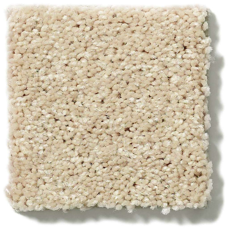 NEWBERN CLASSIC 12' 100% Pet Polyester Carpet 12 ft. x Custom Length R2X® Built-in Stain & Soil Protection