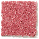 DYERSBURG CLASSIC 12' 100% Pet Polyester Carpet 12 ft. x Custom Length R2X® Built-in Stain & Soil Protection