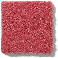 NEWBERN CLASSIC 12' 100% Pet Polyester Carpet 12 ft. x Custom Length R2X® Built-in Stain & Soil Protection