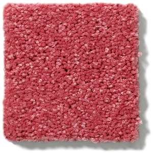 NEWBERN CLASSIC 12' 100% Pet Polyester Carpet 12 ft. x Custom Length R2X® Built-in Stain & Soil Protection