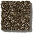 OF COURSE WE CAN II 12' 100% Pet Polyester Carpet 12 ft. x Custom Length R2X® Built-in Stain & Soil Protection