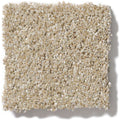 OF COURSE WE CAN I 12' 100% Pet Polyester Carpet 12 ft. x Custom Length R2X® Built-in Stain & Soil Protection