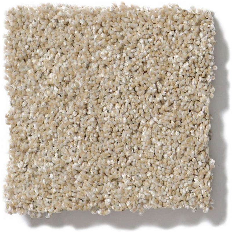 OF COURSE WE CAN III 12' 100% Pet Polyester Carpet 12 ft. x Custom Length R2X® Built-in Stain & Soil Protection