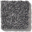 OF COURSE WE CAN I 12' 100% Pet Polyester Carpet 12 ft. x Custom Length R2X® Built-in Stain & Soil Protection