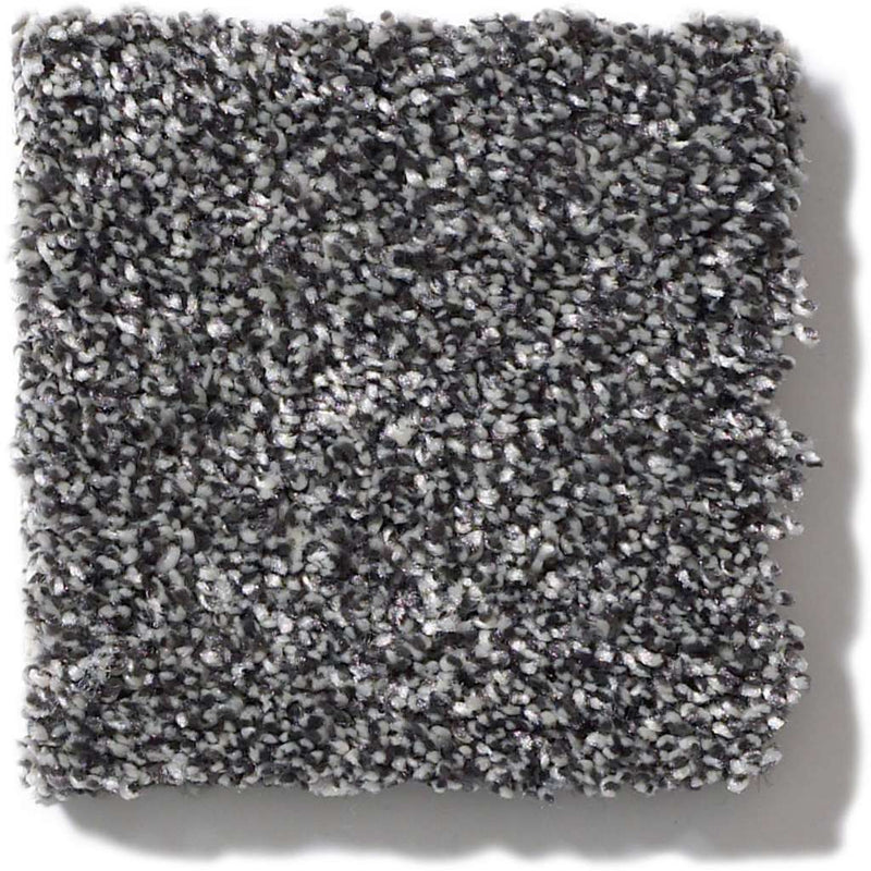 OF COURSE WE CAN I 12' 100% Pet Polyester Carpet 12 ft. x Custom Length R2X® Built-in Stain & Soil Protection