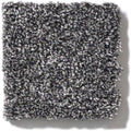 OF COURSE WE CAN III 12' 100% Pet Polyester Carpet 12 ft. x Custom Length R2X® Built-in Stain & Soil Protection