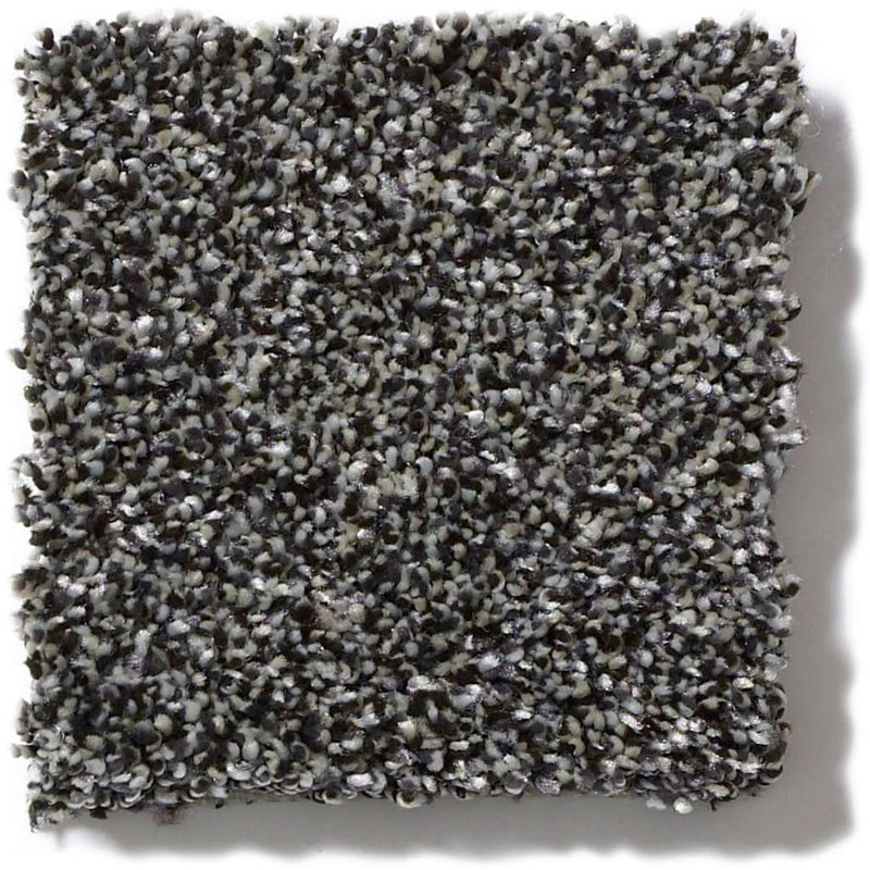 OF COURSE WE CAN III 12' 100% Pet Polyester Carpet 12 ft. x Custom Length R2X® Built-in Stain & Soil Protection