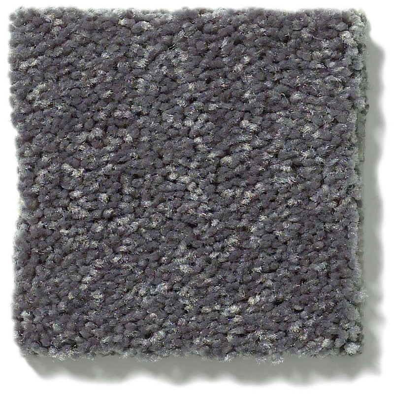 NEWBERN CLASSIC 12' 100% Pet Polyester Carpet 12 ft. x Custom Length R2X® Built-in Stain & Soil Protection