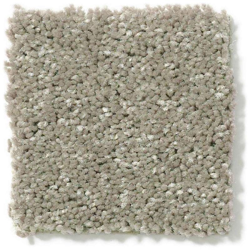 NEWBERN CLASSIC 12' 100% Pet Polyester Carpet 12 ft. x Custom Length R2X® Built-in Stain & Soil Protection