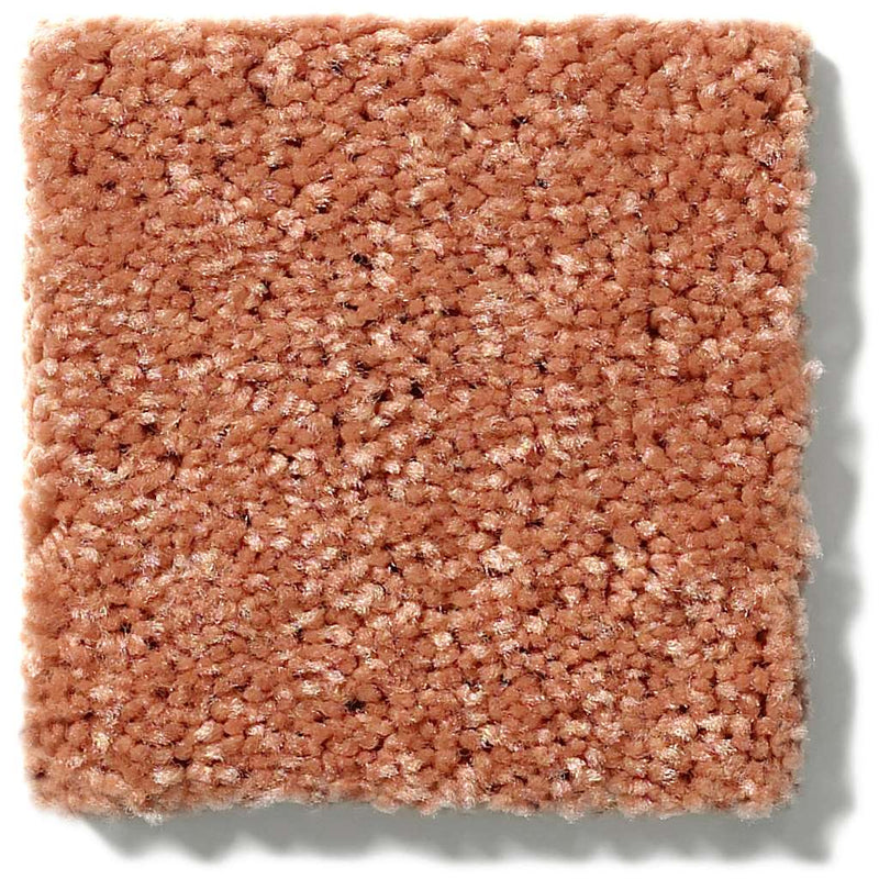 NEWBERN CLASSIC 12' 100% Pet Polyester Carpet 12 ft. x Custom Length R2X® Built-in Stain & Soil Protection