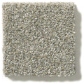 MONTAGE I 100% Pet Polyester Carpet 12 ft. x Custom Length R2X® Built-in Stain & Soil Protection