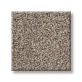 TRUSPIRIT II 100% SD PET Polyester Carpet 12 ft. x Custom Length