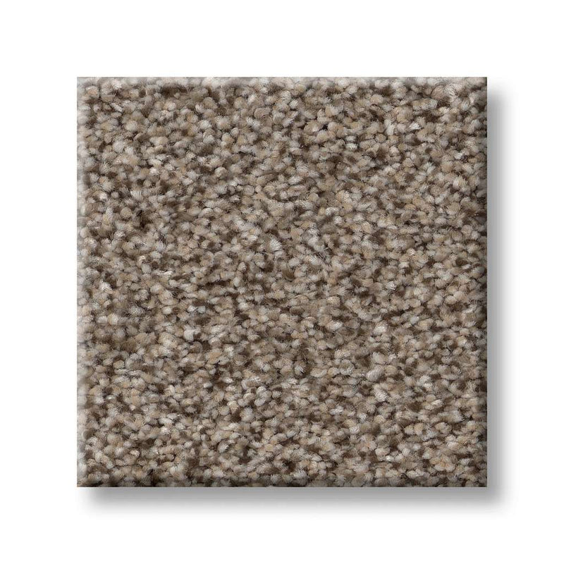 TRUSPIRIT II 100% SD PET Polyester Carpet 12 ft. x Custom Length