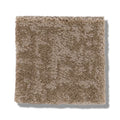 FINE STRUCTURE 100% Nylon Carpet 12 ft. x Custom Length R2X® Built-in Stain & Soil Protection, Spill-Proof Backing