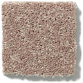 NEWBERN CLASSIC 12' 100% Pet Polyester Carpet 12 ft. x Custom Length R2X® Built-in Stain & Soil Protection