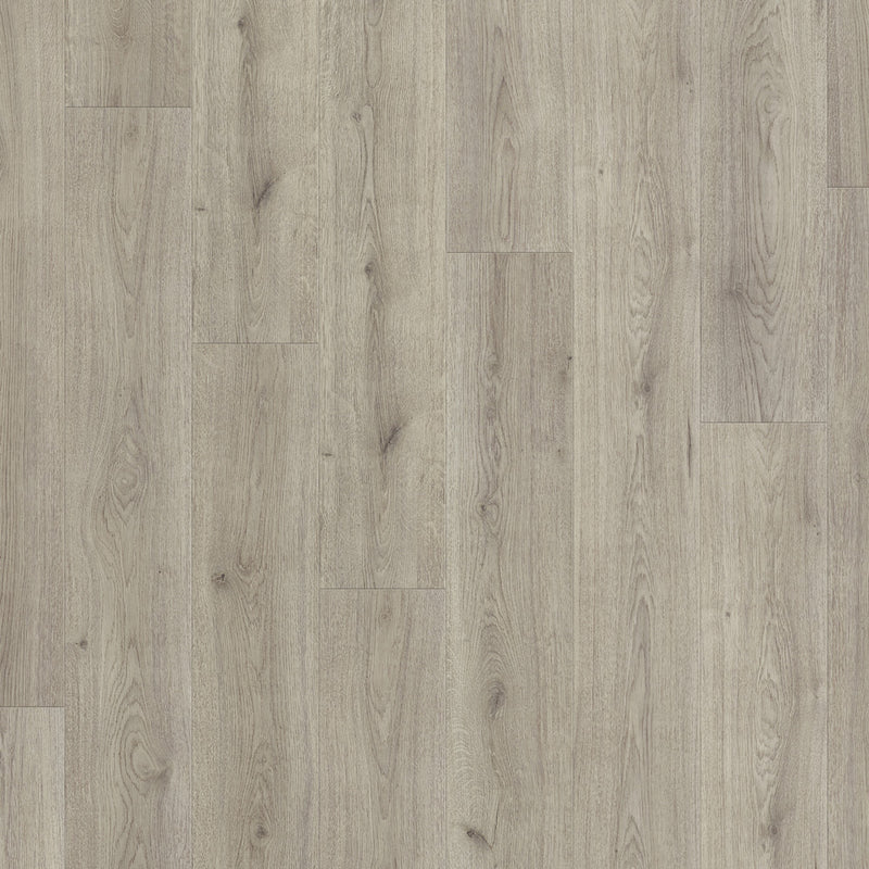 $1.89/sq. ft. ($43.37/Box) Authentic Advanced "TREND OAK GREY" 8mm Laminate Flooring