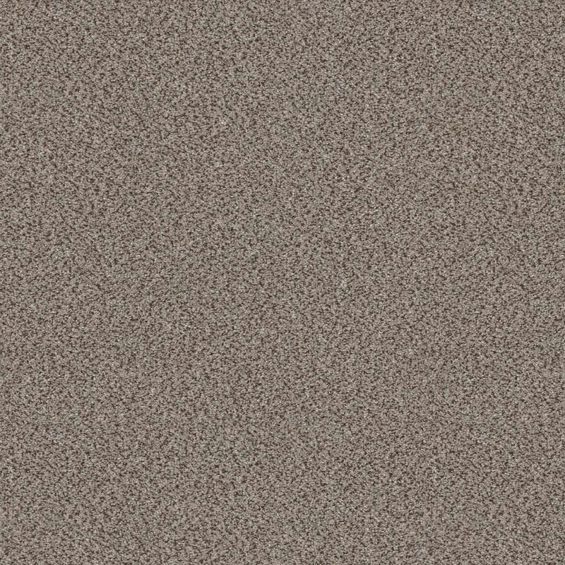TRUSPIRIT I 100% SD PET Polyester Carpet 12 ft. x Custom Length