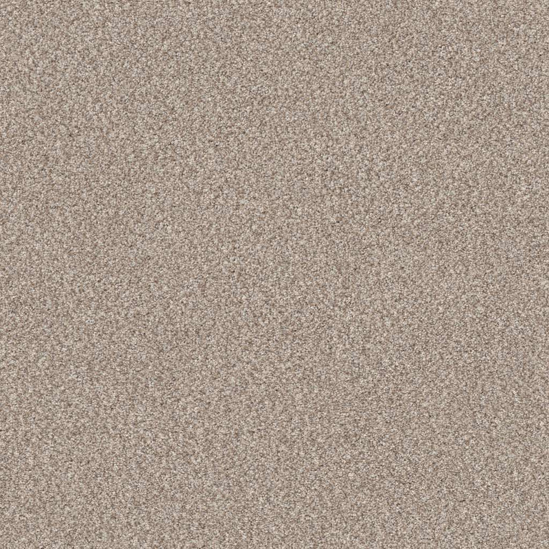 TRUSPIRIT II 100% SD PET Polyester Carpet 12 ft. x Custom Length