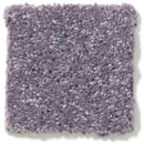 DYERSBURG CLASSIC 12' 100% Pet Polyester Carpet 12 ft. x Custom Length R2X® Built-in Stain & Soil Protection