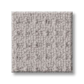 FRAMED VIEW 100% SD PET Polyester Carpet 12 ft. x Custom Length R2X® Built-in Stain & Soil Protection