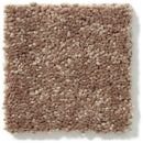 DYERSBURG CLASSIC 12' 100% Pet Polyester Carpet 12 ft. x Custom Length R2X® Built-in Stain & Soil Protection