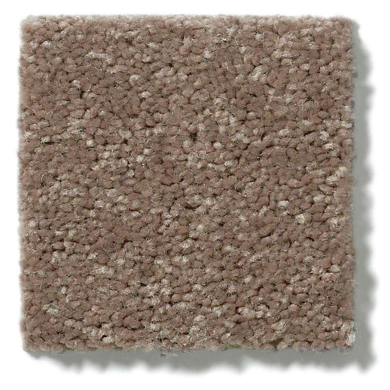 NEWBERN CLASSIC 12' 100% Pet Polyester Carpet 12 ft. x Custom Length R2X® Built-in Stain & Soil Protection