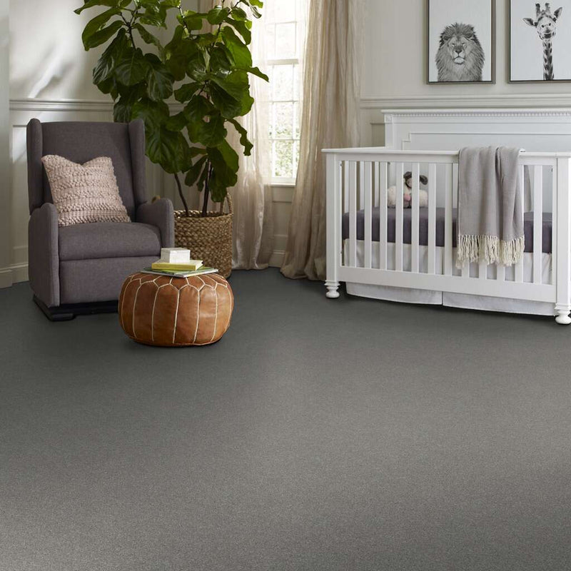 HARMONIOUS I 100% Nylon Carpet 12 ft. x Custom Length R2X® Built-in Stain & Soil Protection