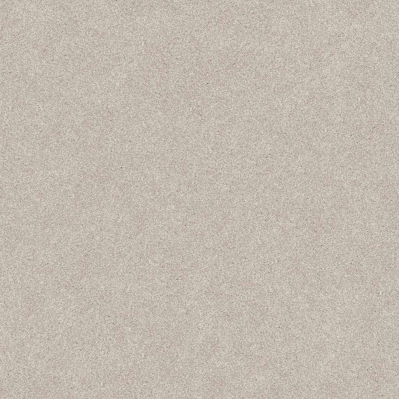 HARMONIOUS II 100% Nylon Carpet 12 ft. x Custom Length R2X® Built-in Stain & Soil Protection