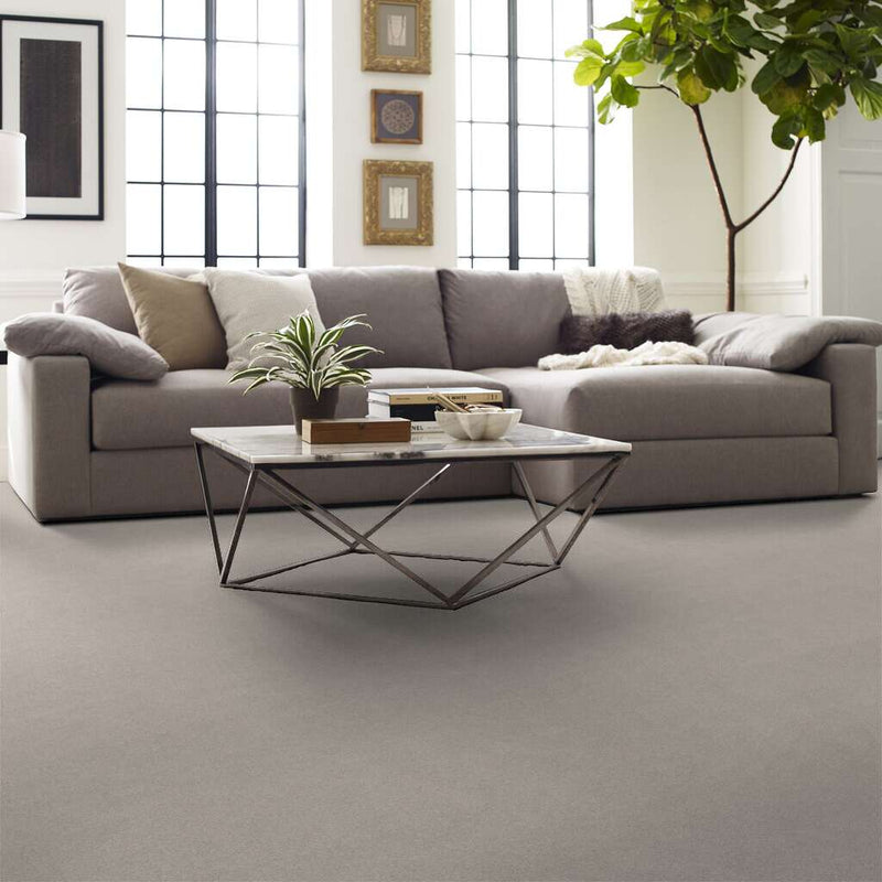 MONTAGE I 100% Pet Polyester Carpet 12 ft. x Custom Length R2X® Built-in Stain & Soil Protection