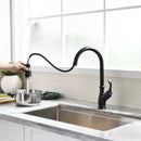 Black Single-Handle Kitchen Faucet 1176-33B