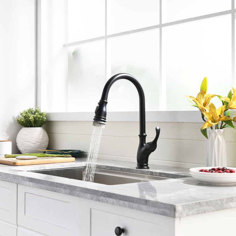 Black Single-Handle Kitchen Faucet 1176-33B