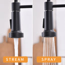 Black Single-Handle Kitchen Faucet IS1252-33B-1D-1