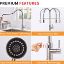 Brushed Nickel Single-Handle Kitchen Faucet IS1252-33N-1D-1