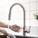 Brushed Nickel Single-Handle Kitchen Faucet IS1256-33N