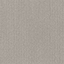 TRANSFORM 100% SD PET Polyester Carpet 12 ft. x Custom Length