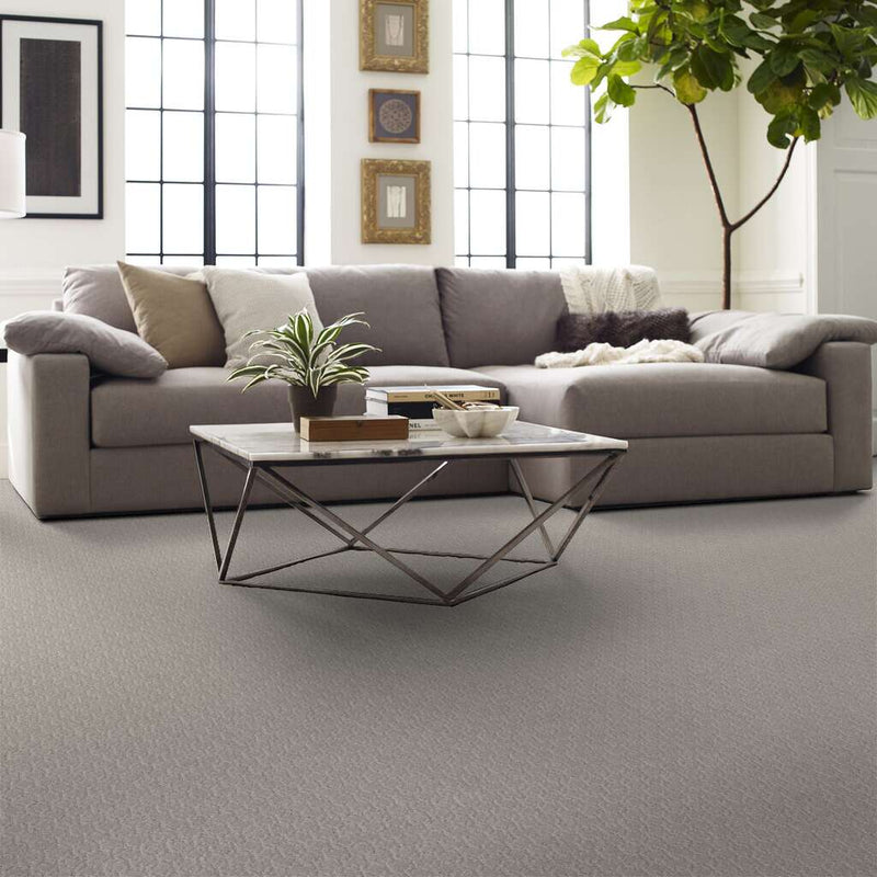 VALID 100% SD PET Polyester Carpet 12 ft. x Custom Length