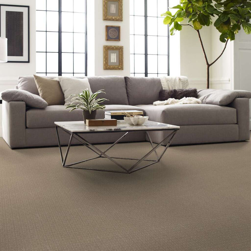 VASTLY 100% SD PET Polyester Carpet 12 ft. x Custom Length