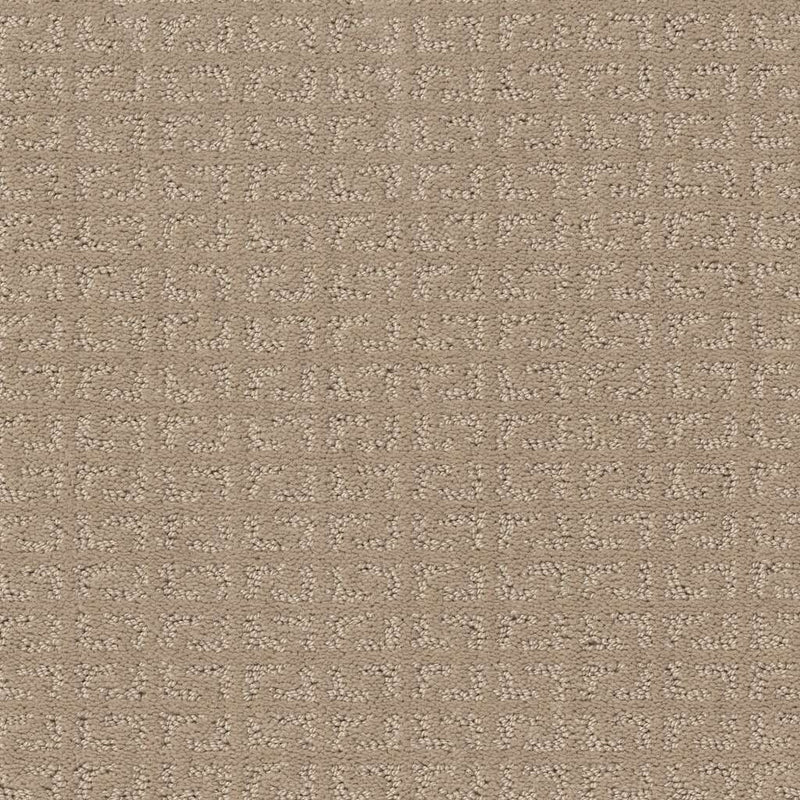 VASTLY 100% SD PET Polyester Carpet 12 ft. x Custom Length