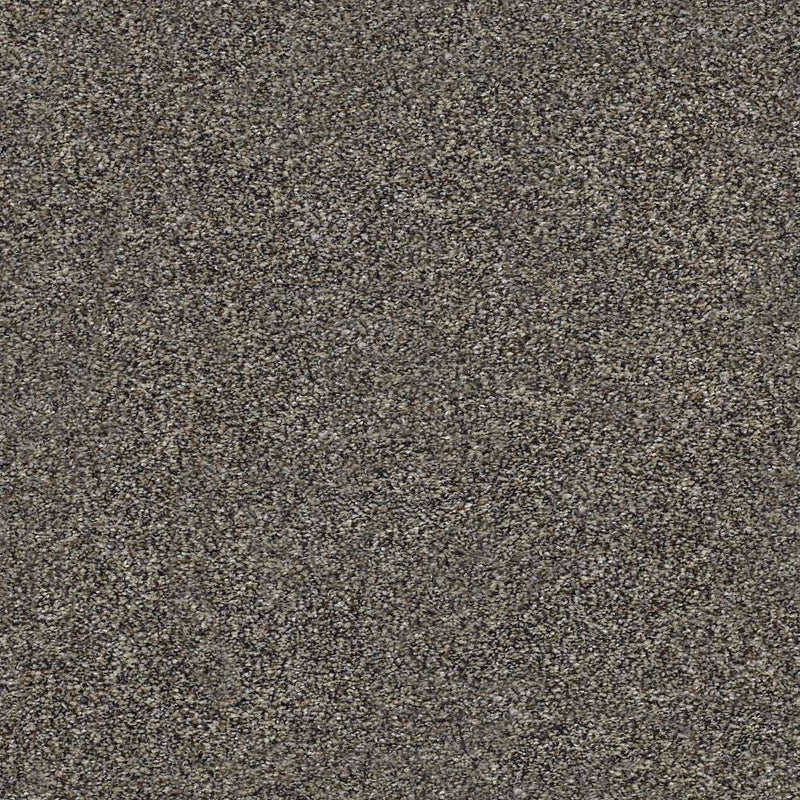 WITHIN REACH II 100% PET Polyester Carpet 12 ft. x Custom Length