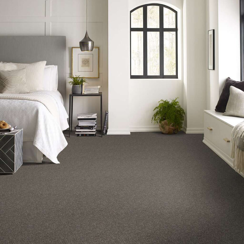 WITHIN REACH II 100% PET Polyester Carpet 12 ft. x Custom Length