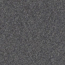 WITHIN REACH III 100% PET Polyester Carpet 12 ft. x Custom Length