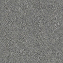 WITHIN REACH I 100% PET Polyester Carpet 12 ft. x Custom Length