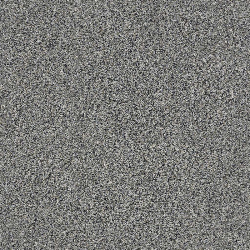 WITHIN REACH I 100% PET Polyester Carpet 12 ft. x Custom Length