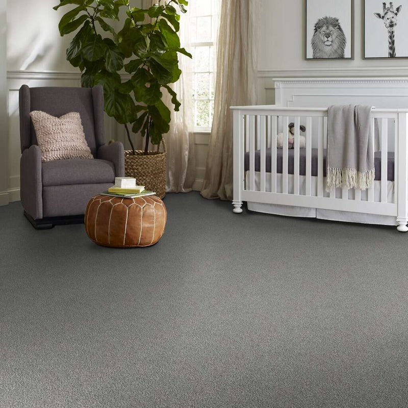 WITHIN REACH I 100% PET Polyester Carpet 12 ft. x Custom Length